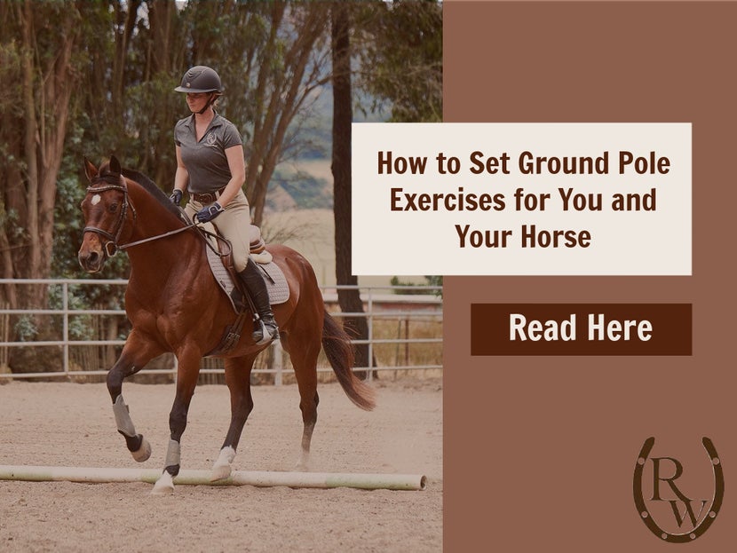 Image link to 'How to Set Ground Poles for You and Your Horse